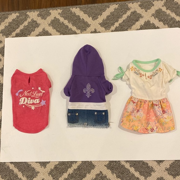 Other - Bundle of girl dog clothes Hoodie, Jeans, diva XXS